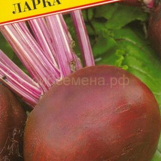 Свекла Ларка 1 гр (Престиж)