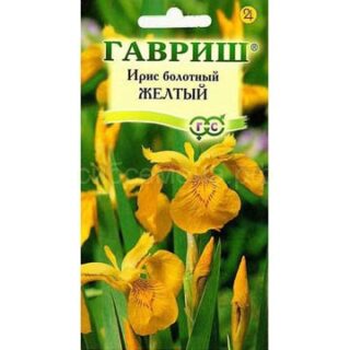 Ирис болотный желтый (Гавр)