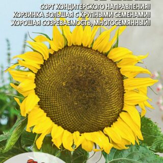 Подсолнечник Крепыш (УД)