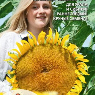 Подсолнечник Сибирский 97 (УД)