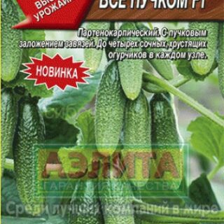 Огурец Все пучком F1 (Аэлита)