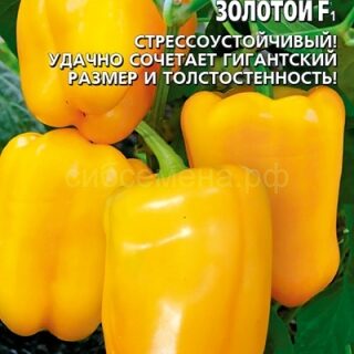 Перец Уральский Толстостенный золотой F1 (УД)