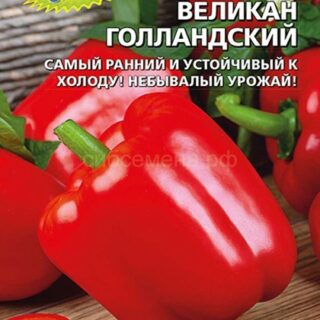 Перец ВЕЛИКАН голландский (УД)