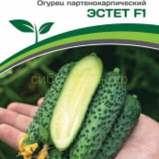 Огурец Эстет F1 (Партнер)