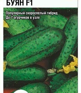 Огурец Буян F1 /Сиб сад/