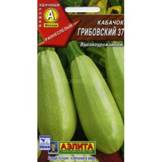 Кабачок белоплодный ГРИБОВСКИЕ 37 /Аэлита/3гр.