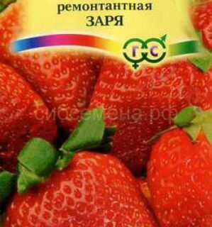 Земляника ЗАРЯ ремонтантная /Гавриш/