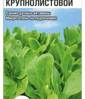 Кресс-салат Крупнолистовой 0,5гр /СибСад/