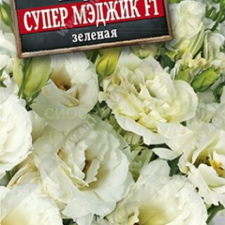 Эустома Супер Мэджик F1 зеленая крупноцв махр (Аэ) 12.22