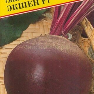 Свекла Экшен F1 1 гр (Престиж)