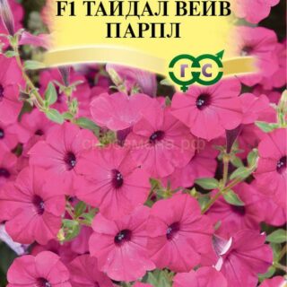 Петуния Тайдал Вейв парпл F1 суперкаскад (Гавр)