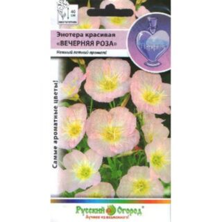 Энотера Вечерняя роза (НК)