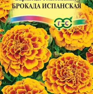 Бархатцы Брокада испанская отклон. /Гавриш/