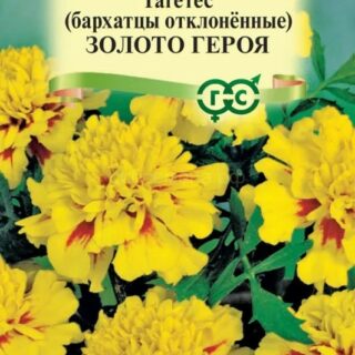 Бархатцы ЗОЛОТО ГЕРОЯ отклонен. /Гавриш/
