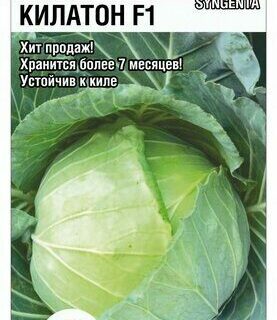 Капуста белокочанная Килатон F1 /СибСад/