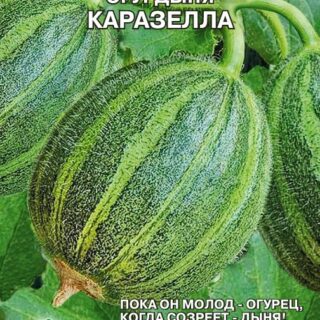 Огурдыня Каразелла (Премиум)
