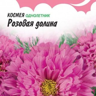 Космея Розовая долина махровая /Гавриш/