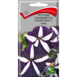 Петуния ГАЛАКТИКА F1 синяя  грандифлора/Поиск/