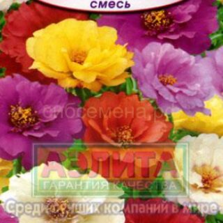 Портулак Супер махровый долгоцвет /Аэлита/