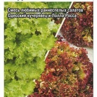Салат КУДРЯВАЯ ПАРОЧКА /Сибсад/