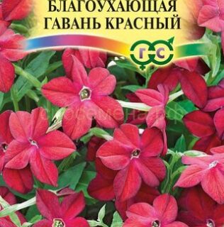 Табак БЛАГОУХАЮЩАЯ ГАВАНЬ красный /Гавриш/