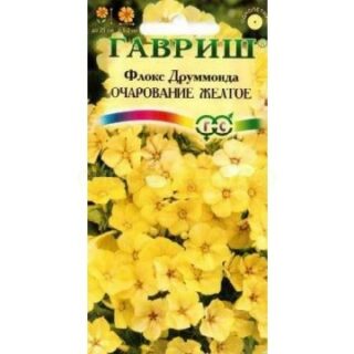 флокс ОЧАРОВАНИЕ желтое /Гавриш/