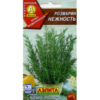 Розмарин НЕЖНОСТЬ /Аэлита/