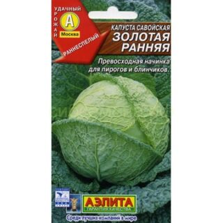Капуста савойская ЗОЛОТАЯ РАННЯЯ /Аэлита/