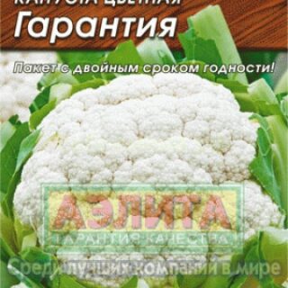 Капуста цветная ГАРАНТИЯ /Аэлита/