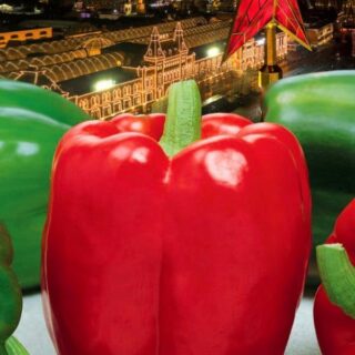 Перец Красная звезда F1 (УД)