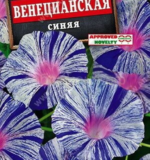 Ипоменя Венецианская синяя (Аэлита)