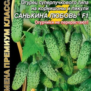 Огурец САНЬКИНА ЛЮБОВЬ F1 (УД)