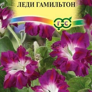 Ипомея Леди Гамильтон махровая /Гавриш/