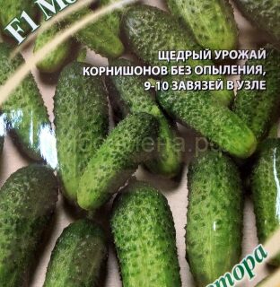 Огурец МОГУЧАЯ КУЧКА /Гавриш/