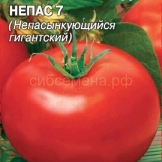 Томат Непасынкующийся Гигантский - Непас 7 (Седек)