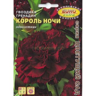 Гвоздика ГРЕНАДИН КОРОЛЬ НОЧИ /Аэлита/