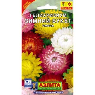 Гелихризум (сухоцвет) ЗИМНИЙ БУКЕТ смесь /Аэлита/