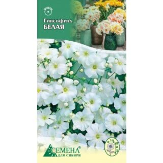 Гипсофила БЕЛАЯ /цв./