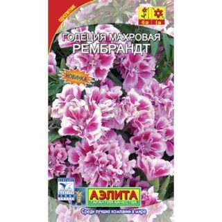 Годеция РЕМБРАНД махровая /Аэлита/