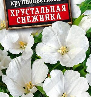 Годеция ХРУСТАЛЬНАЯ СНЕЖИНКА /Аэлита/