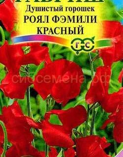Душистый горошек РОЯЛ ФЭМИЛИ красный /Гавриш/