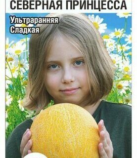 Дыня Северная принцесса /Сиб сад/