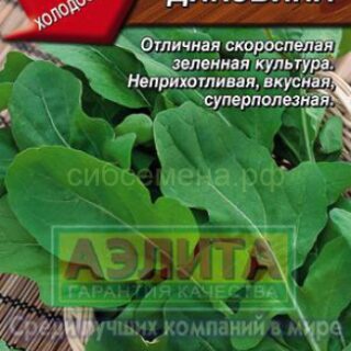 Индау (рукола) ДИКОВИНА /Аэлита/