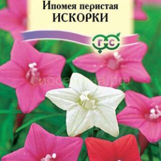 Ипомея ИСКОРКИ смесь /Гавриш/