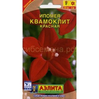 Ипомея КВАМОКЛИТ красная /Аэлита/