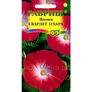Ипомея СКАРЛЕТ О ХАРА /Гавриш/