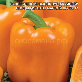 Перец Гигант Оранжевый F1 (УД)