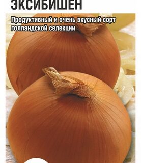 Лук репчатый Эксибишен /Сиб сад/