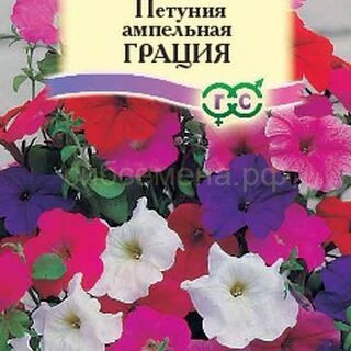 Петуния Грация смесь ампельная (Гавриш)