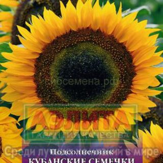 Подсолнечник Кубанские семечки 5гр./Аэлита/